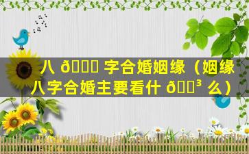 八 🐕 字合婚姻缘（姻缘八字合婚主要看什 🐳 么）